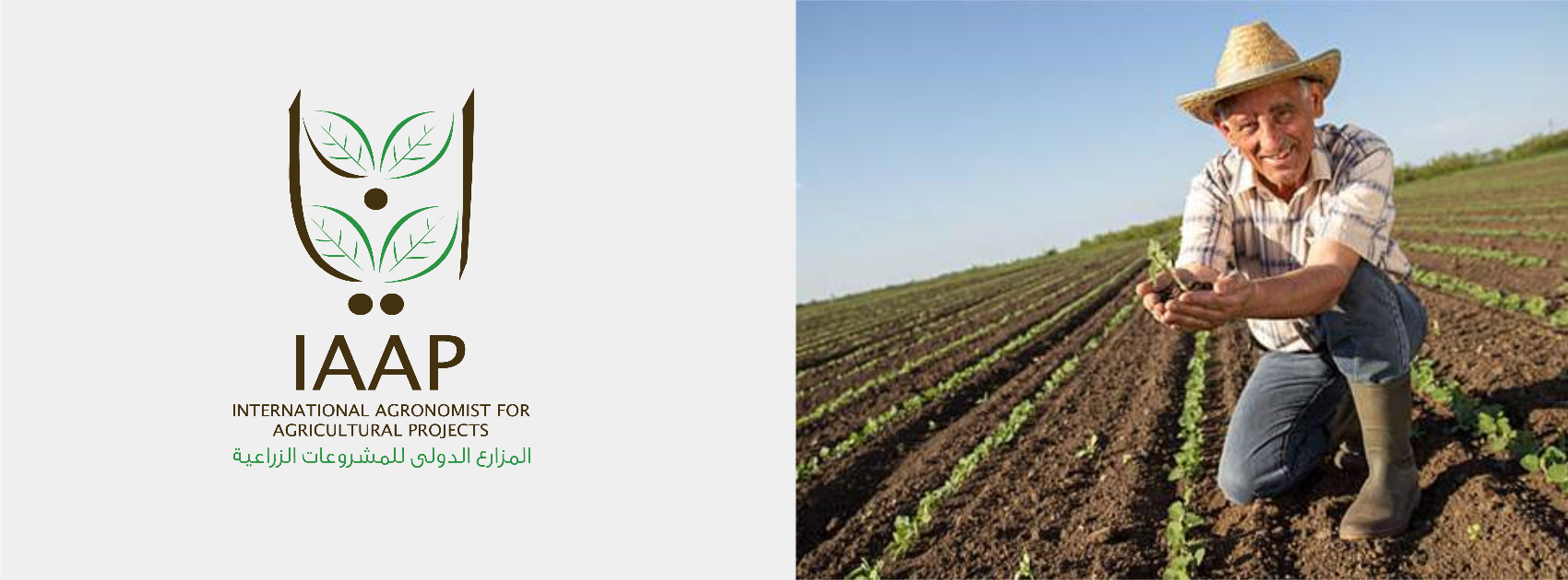 IAAP — International Agronomist for Agricultural Projects